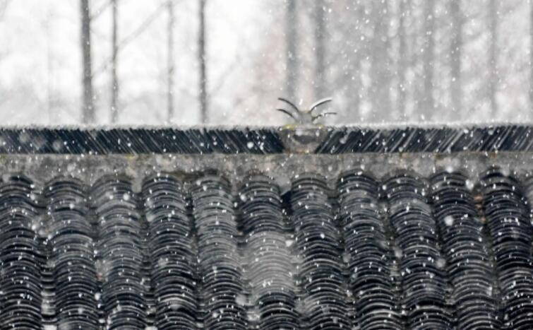 雨夹雪形成原因是什么(下雨夹雪的原因)